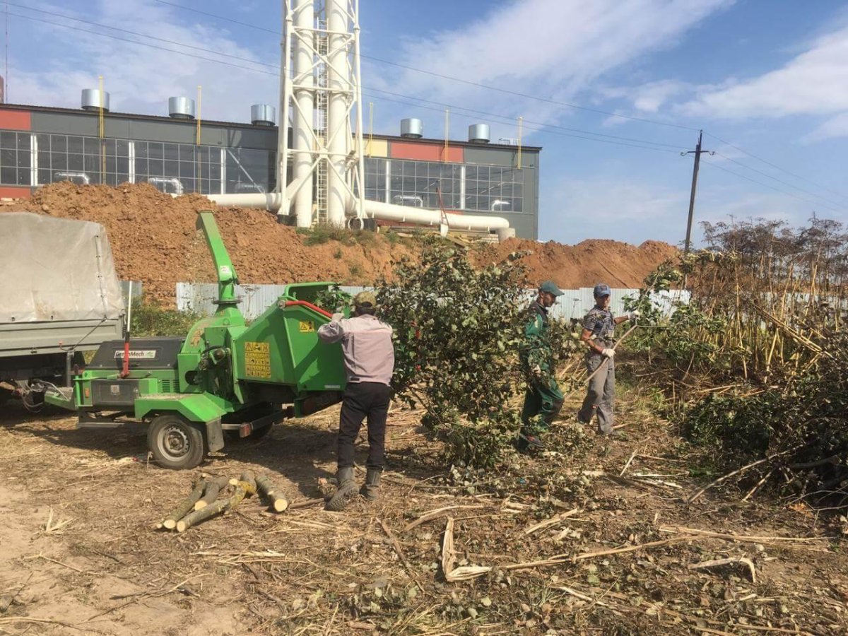 Измельчение веток в щепу