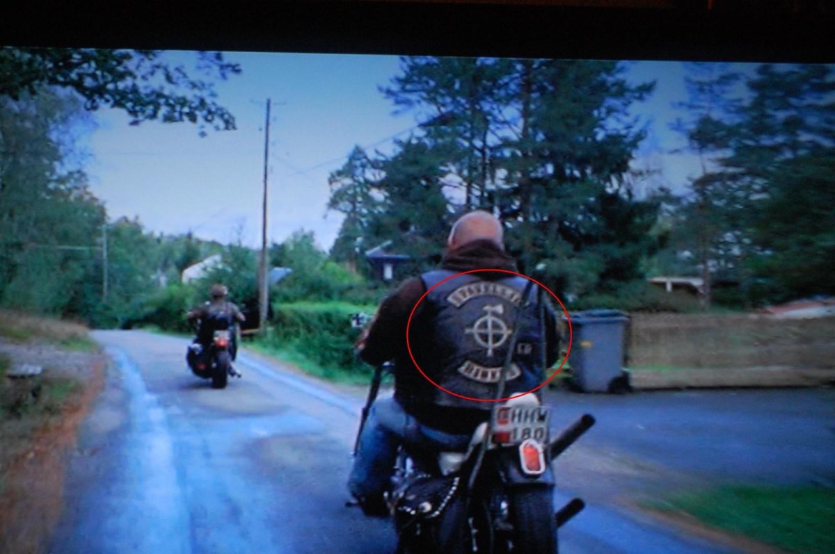 Реальные кабаны полицейский