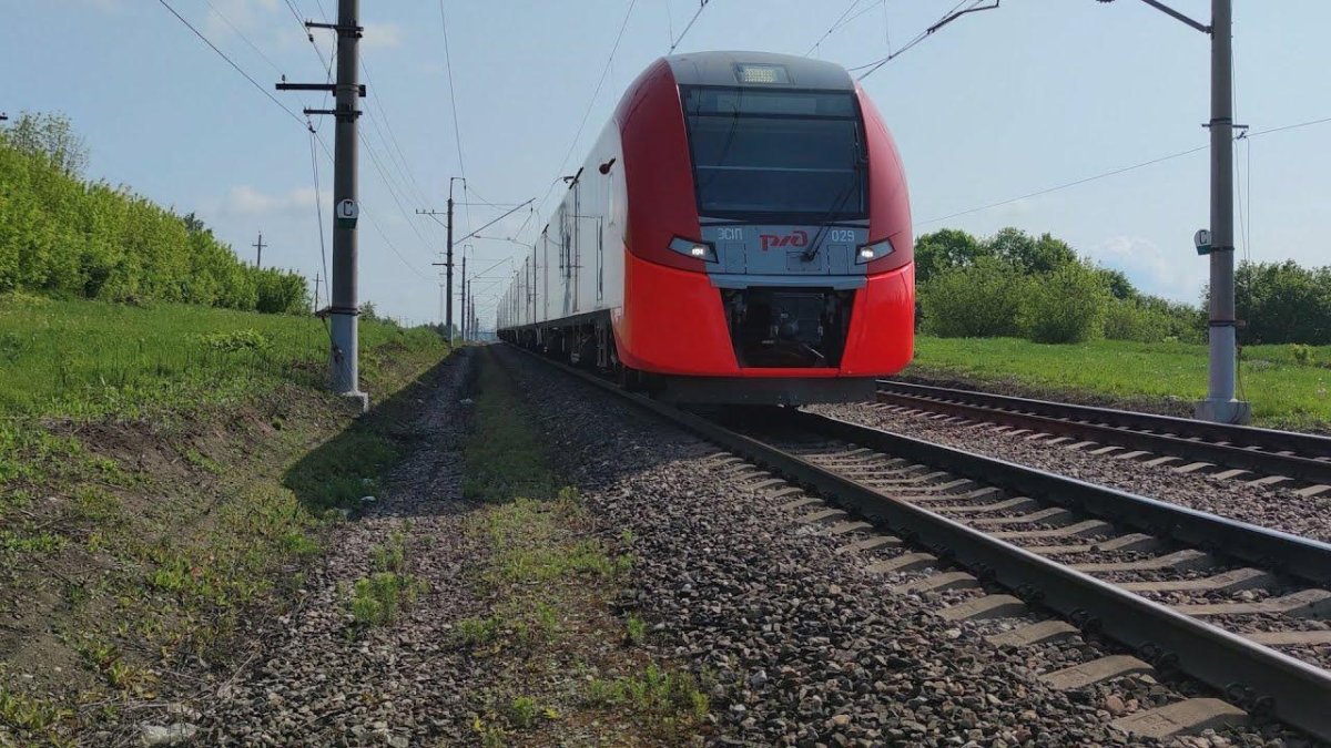 Ласточка Кострома Москва