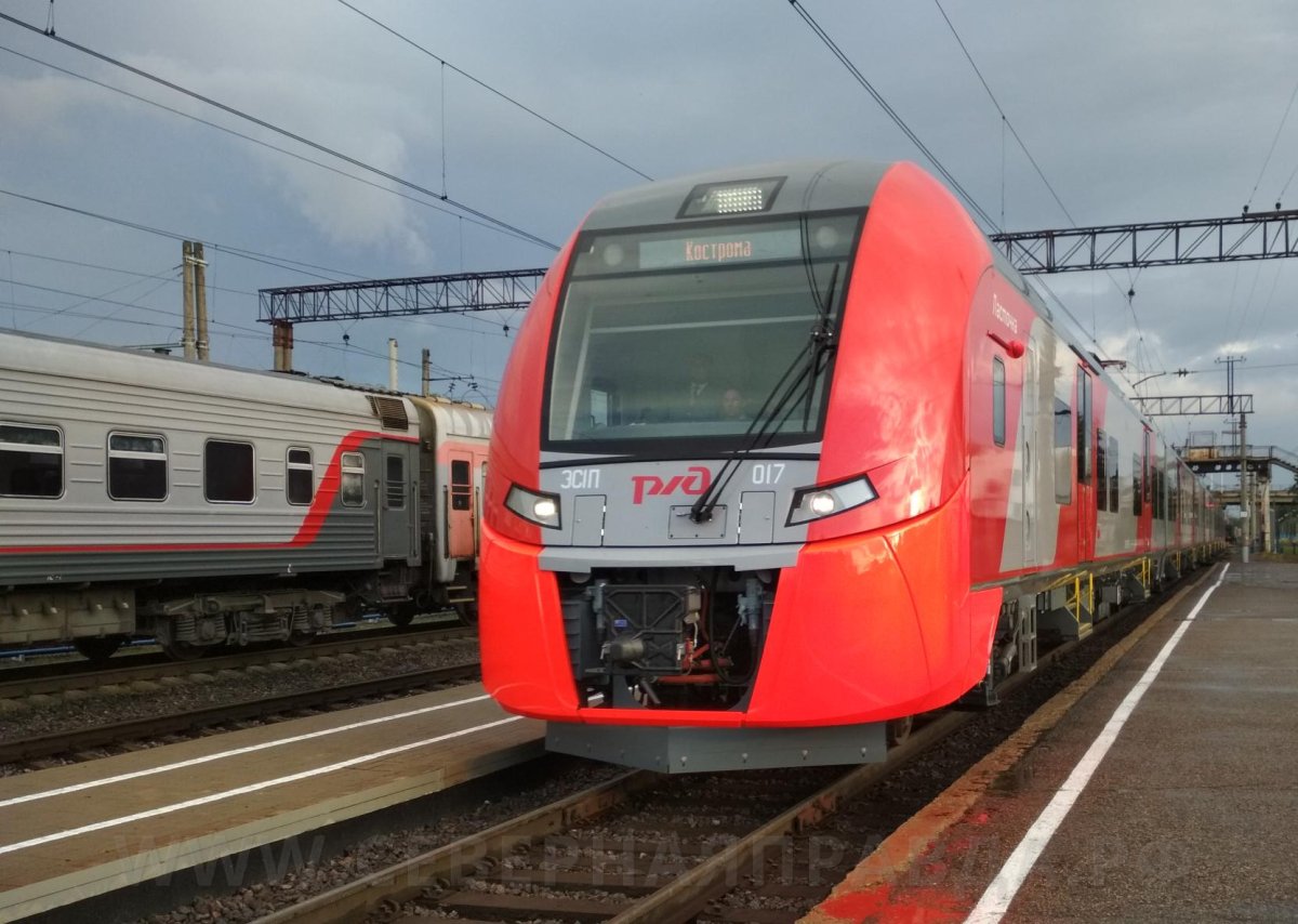 Поезд Ласточка Кострома Москва