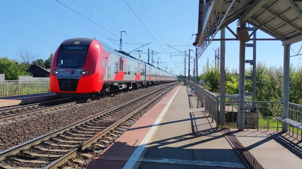 Ласточка Кострома Москва