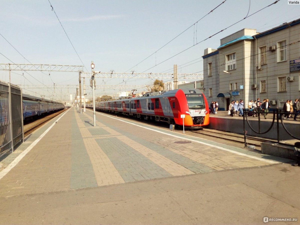 Ласточка Кострома Москва