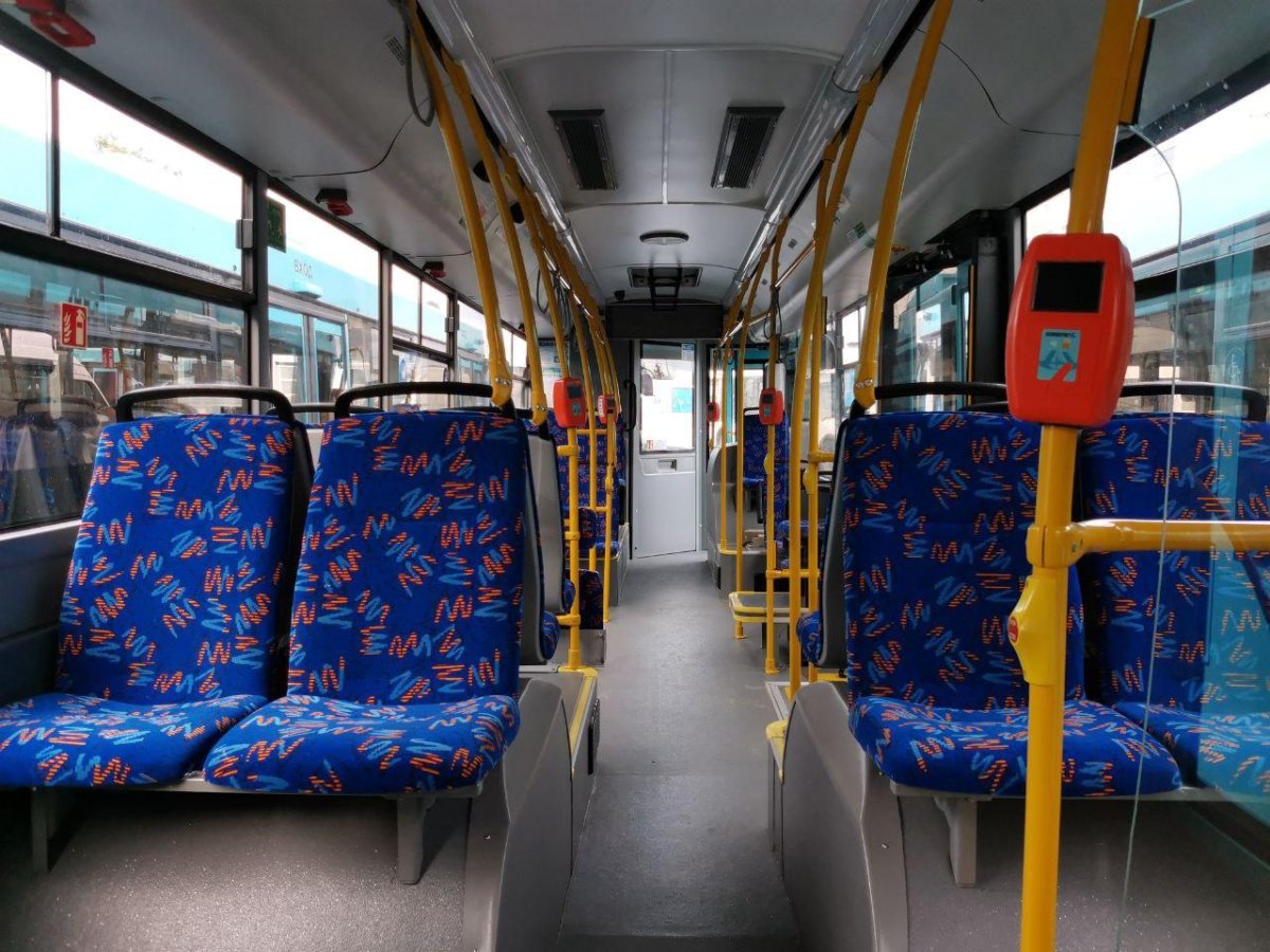 МАЗ 203 салон СПБ