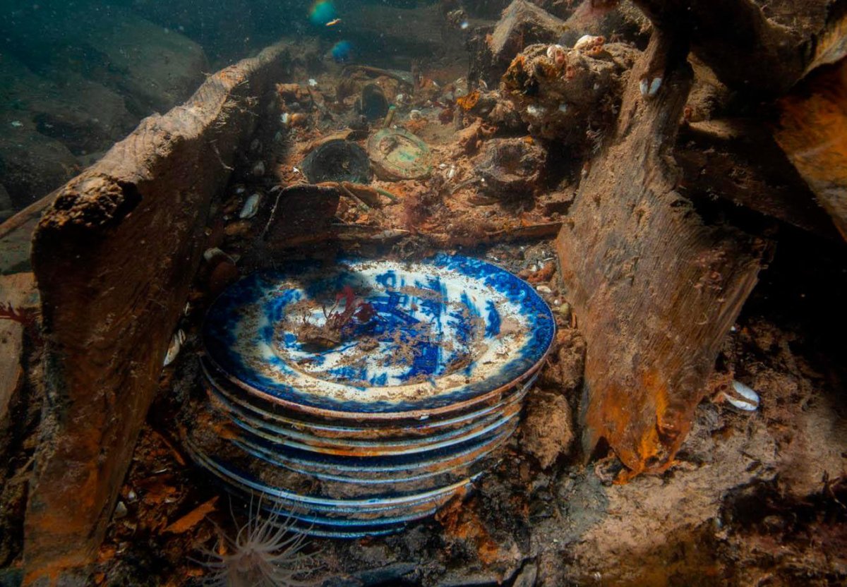 Эребус и террор фото на дне