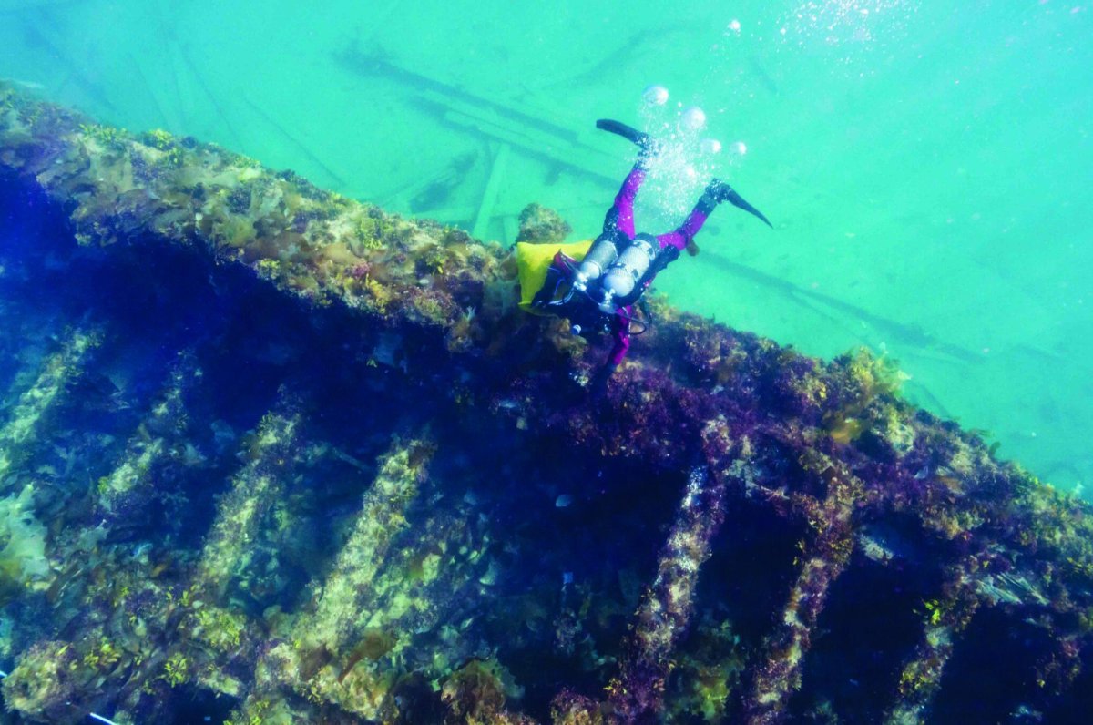 HMS Erebus на дне