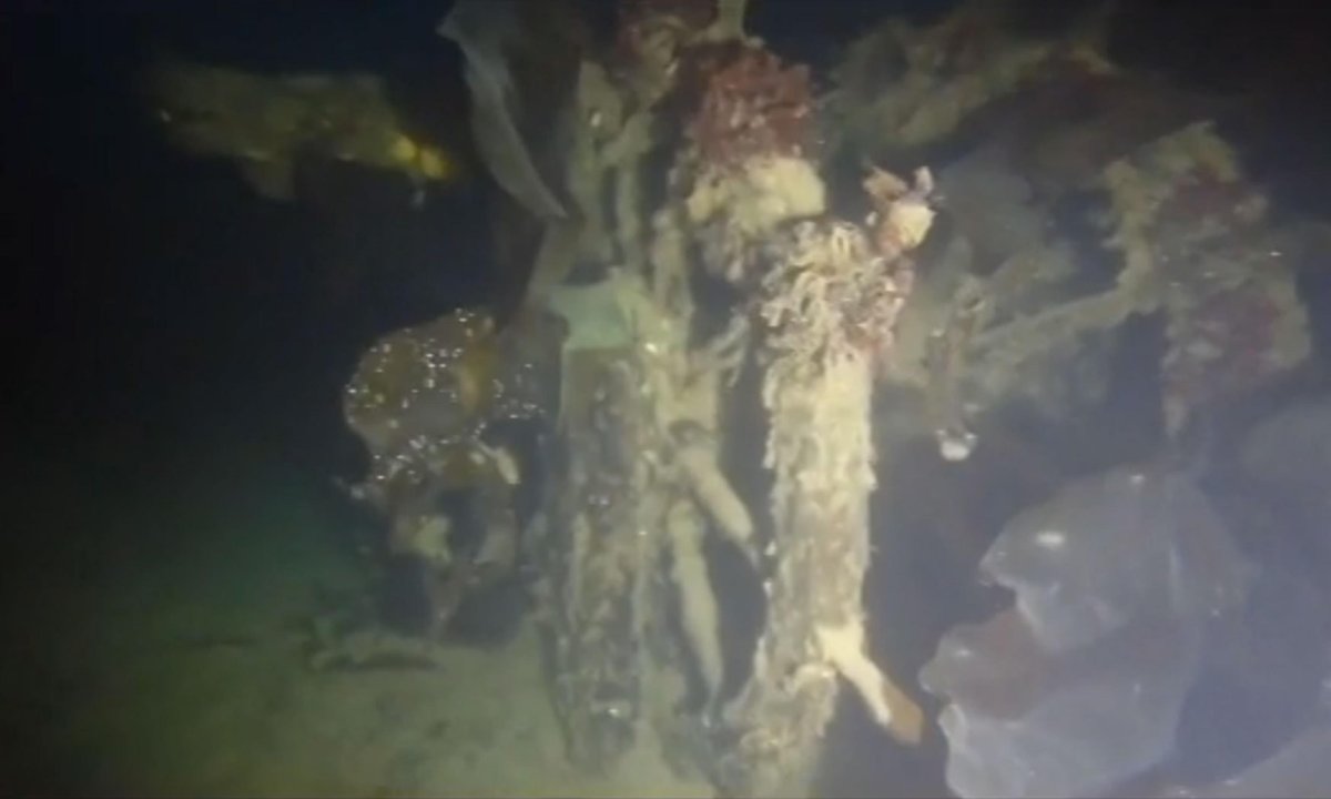 Экспедиция Франклина 1845-1847 мумии