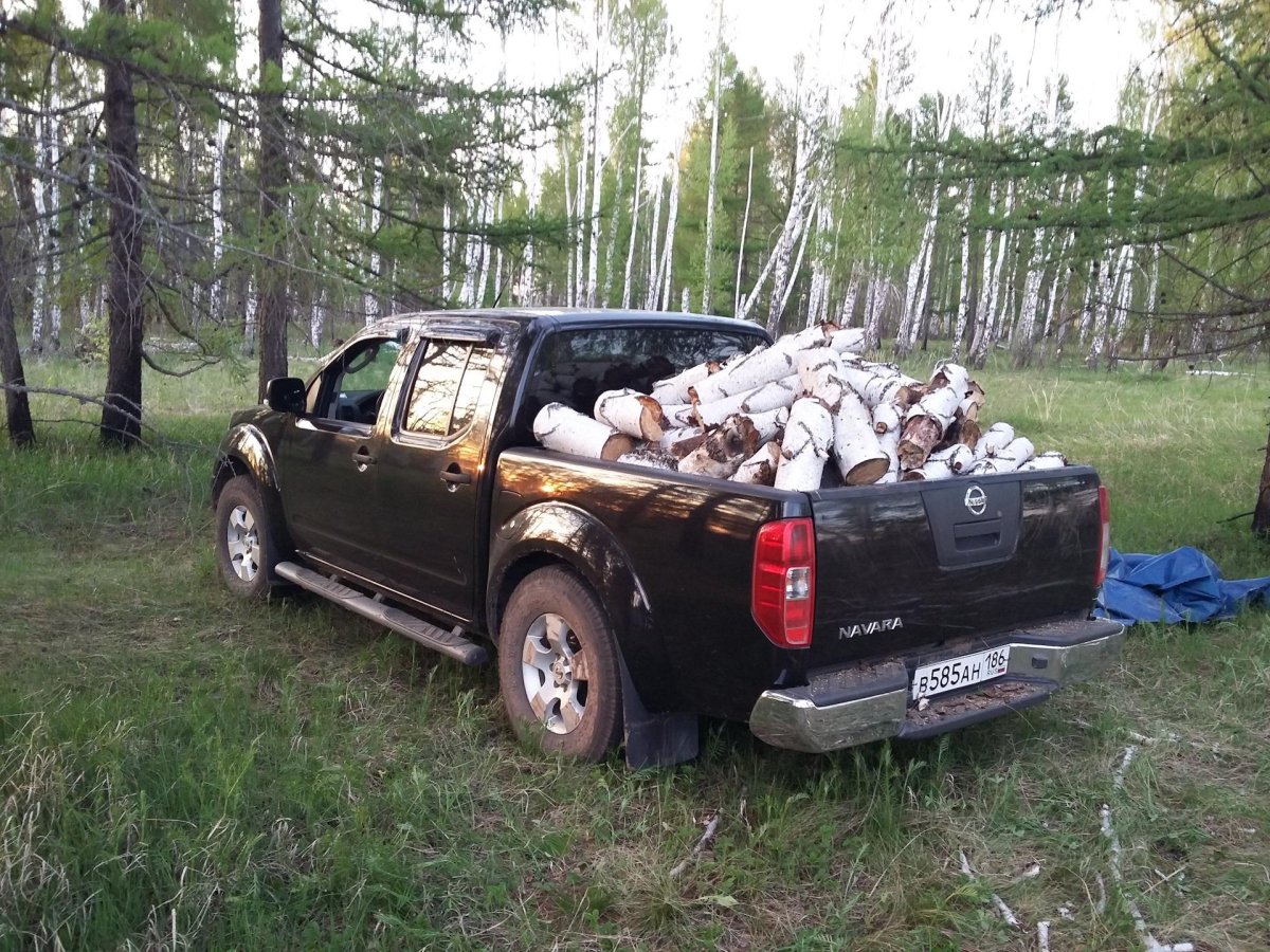 Nissan Navara прицепы