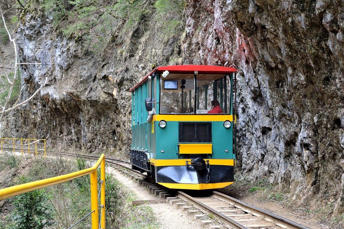 Гуамскоеущелье узкокооейка