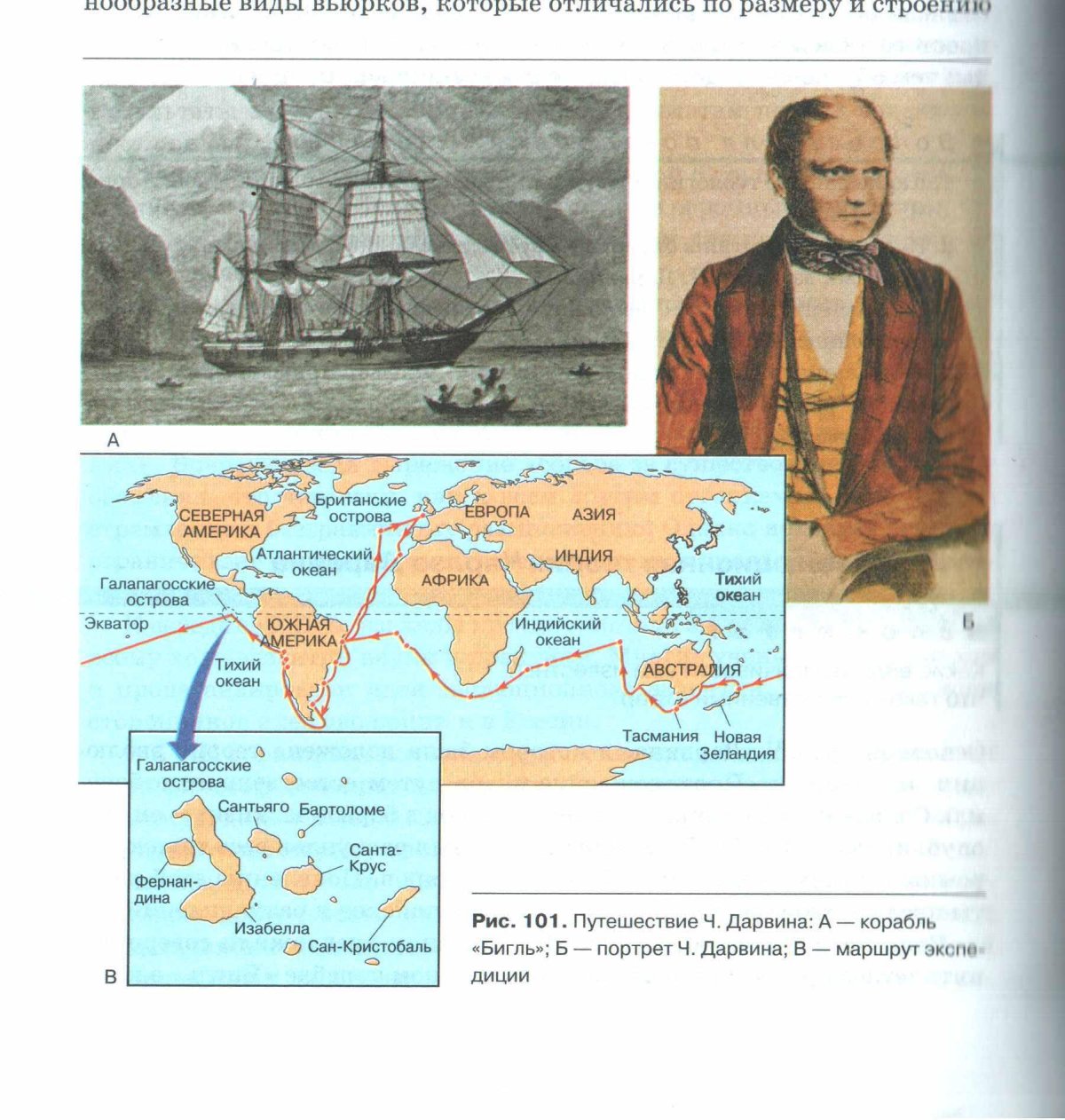 Кругосветное путешествие Чарльза Дарвина