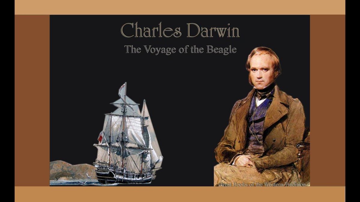 Чарльз Дарвин Бигль