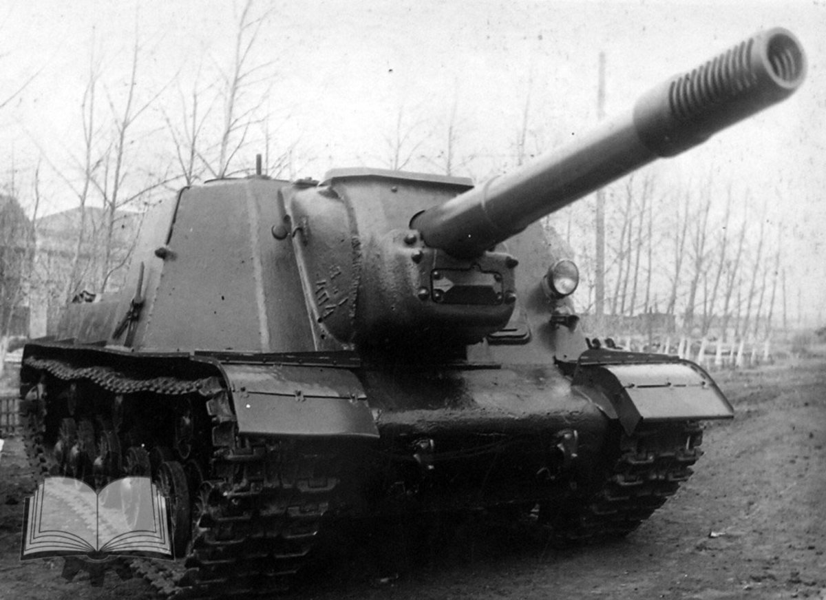 Как выглядит самоходка