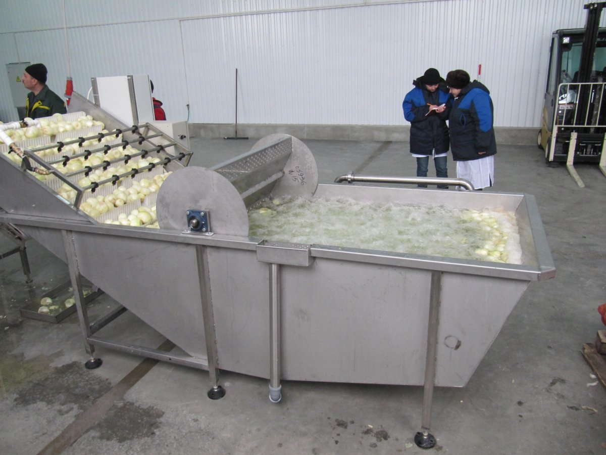 Барботажная моечная машина для фруктов и овощей