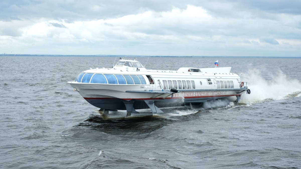 Метеор Санкт-Петербург Петергоф