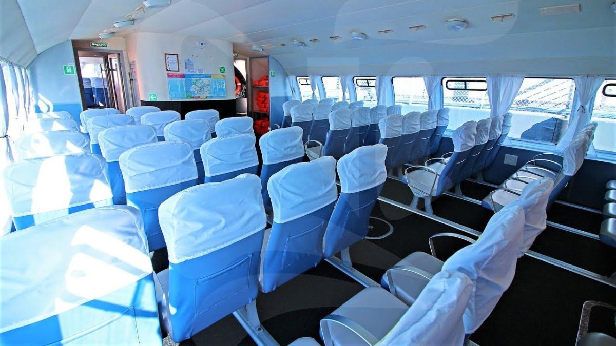 Петергоф теплоход Метеор