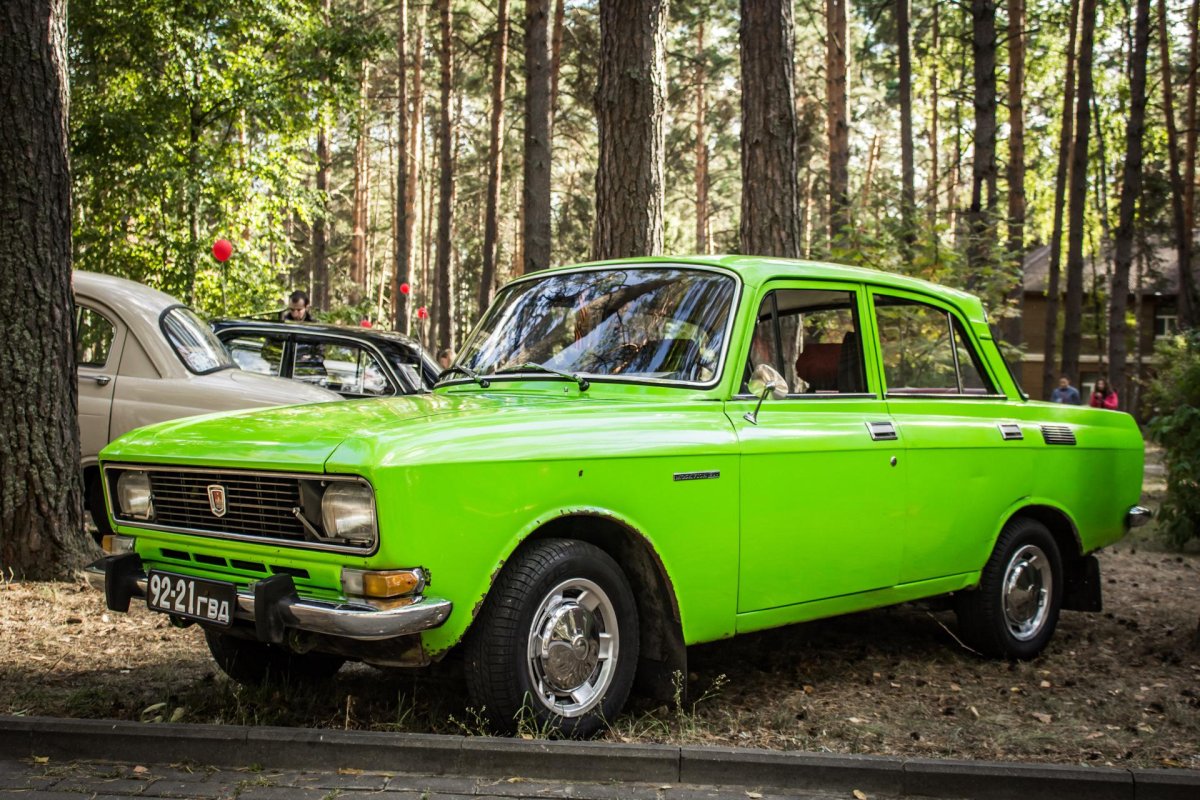 Волынь ретро гараж