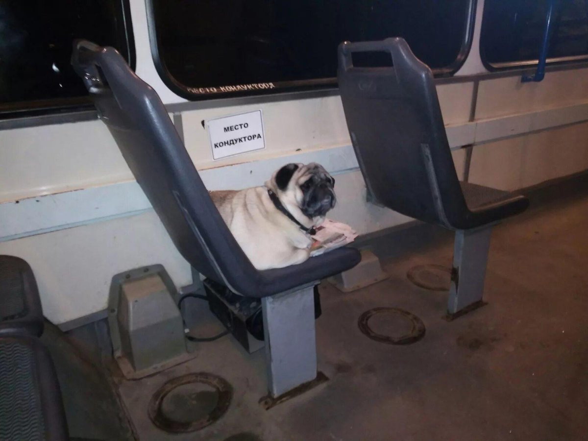 Место кондуктора в автобусе