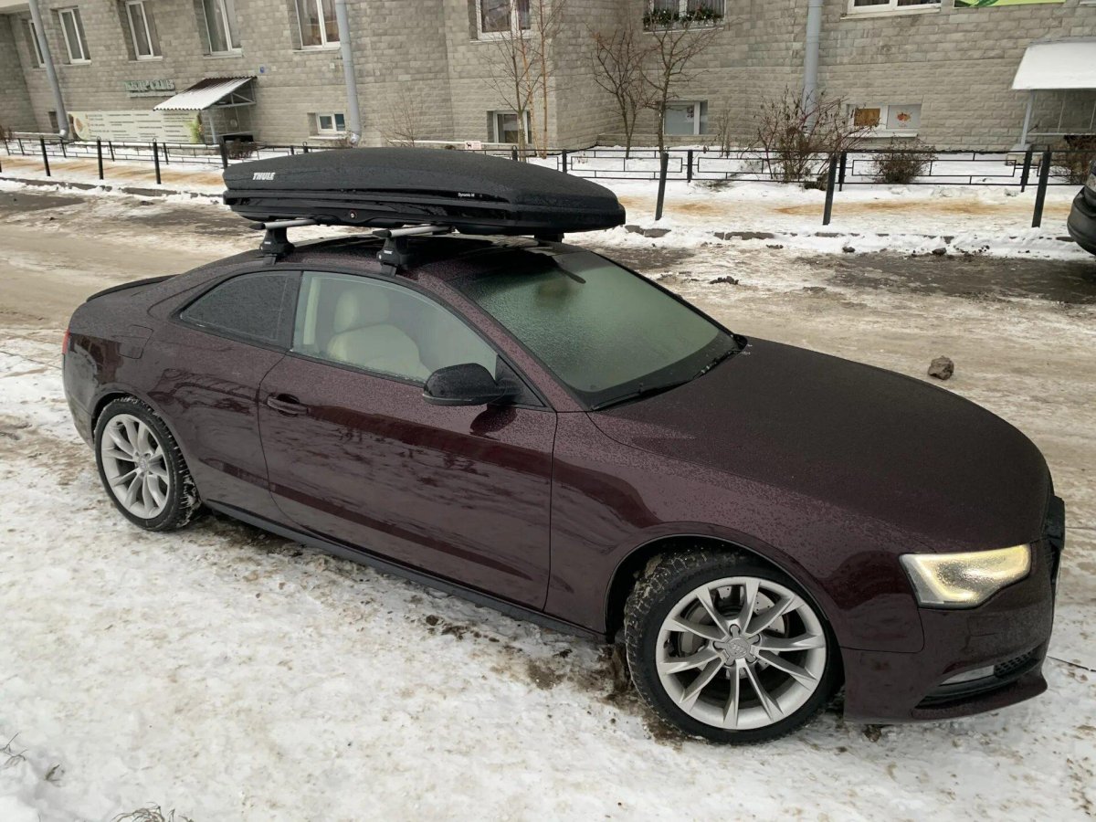 Thule Dynamic m