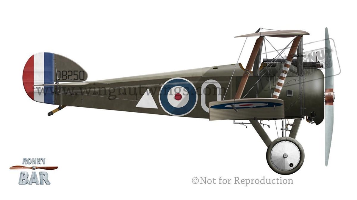 Sopwith Camel 1/32