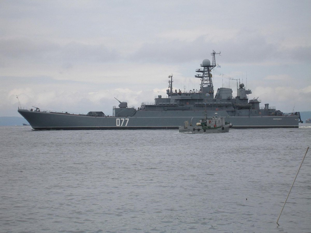 ТОФ БДК Пересвет