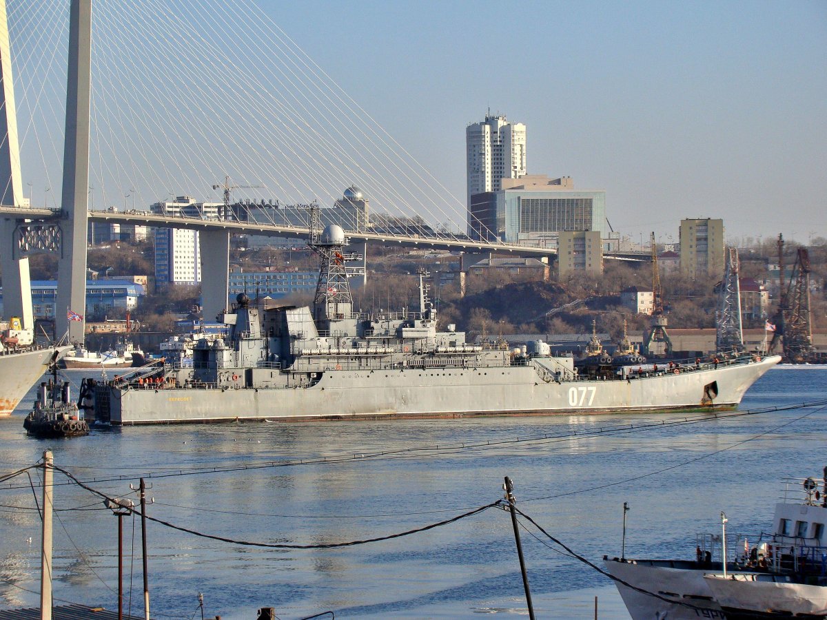 Пересвет большой десантный корабль