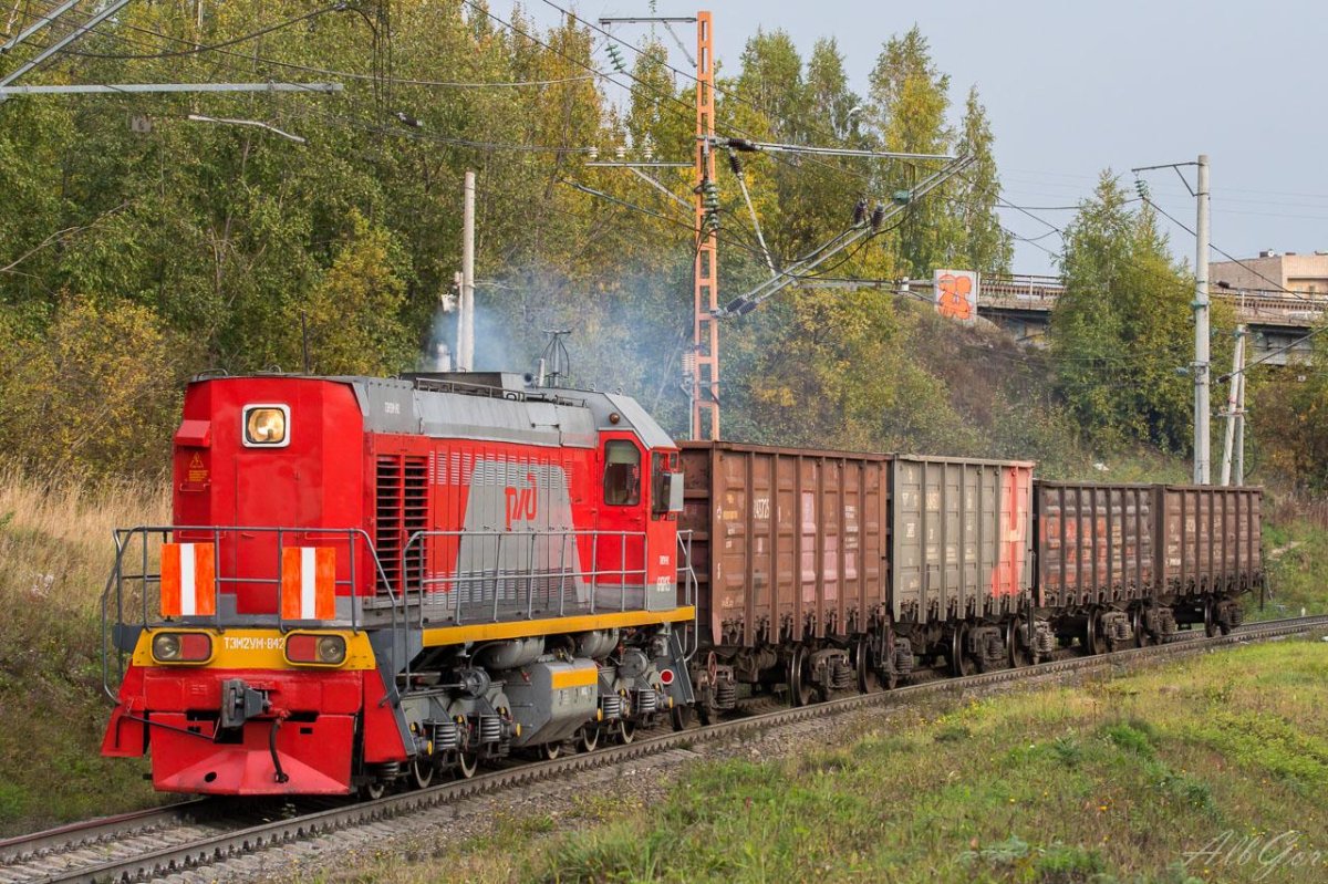 Тэм2 тепловоз