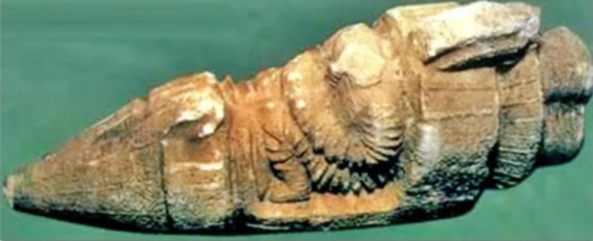 Шаттл Топраккала