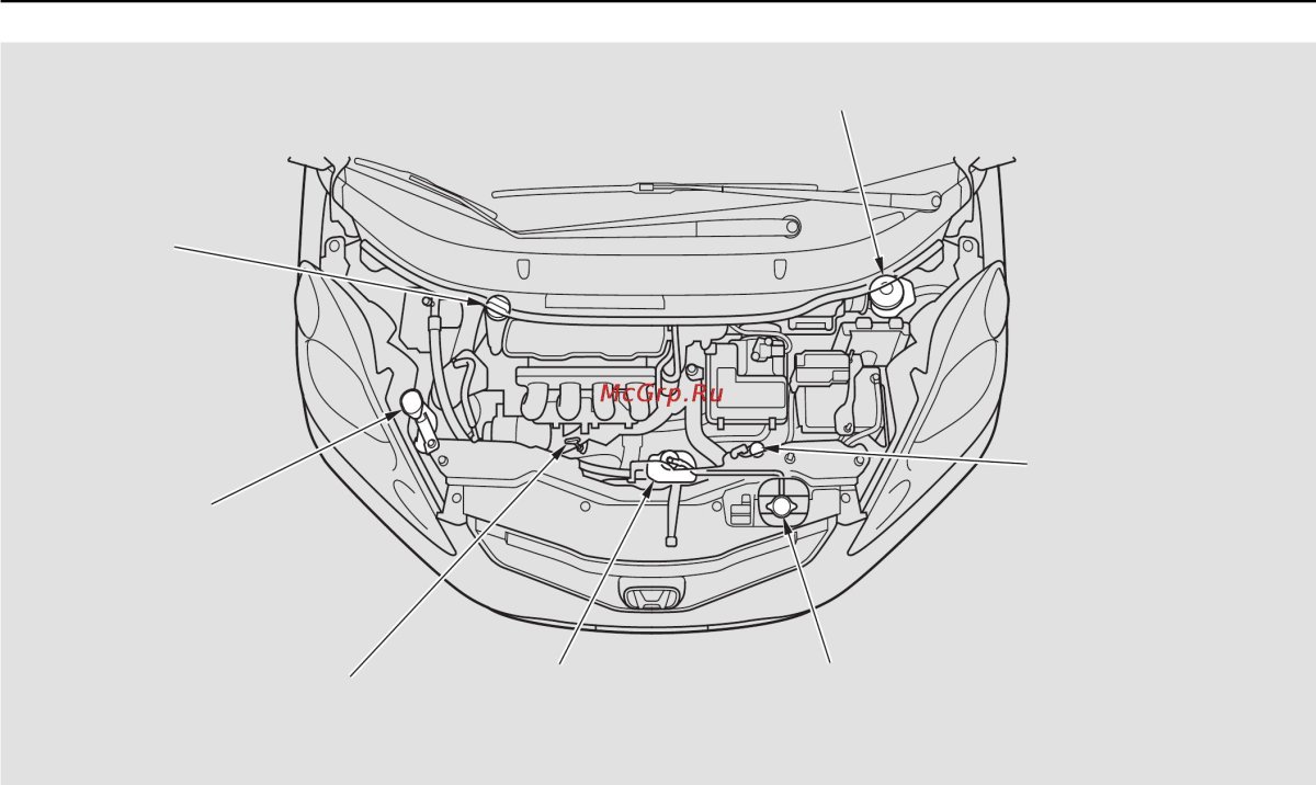 Honda CRV схема капота