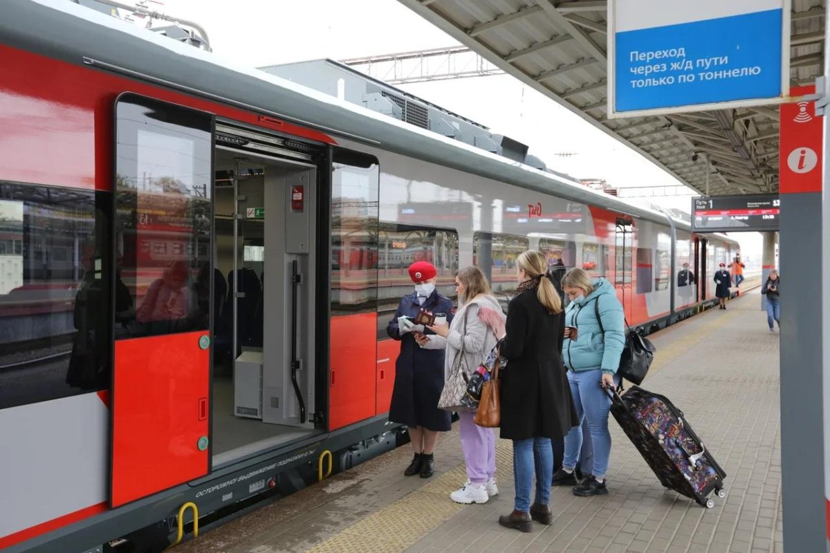 Поезд Ласточка Нижний Новгород