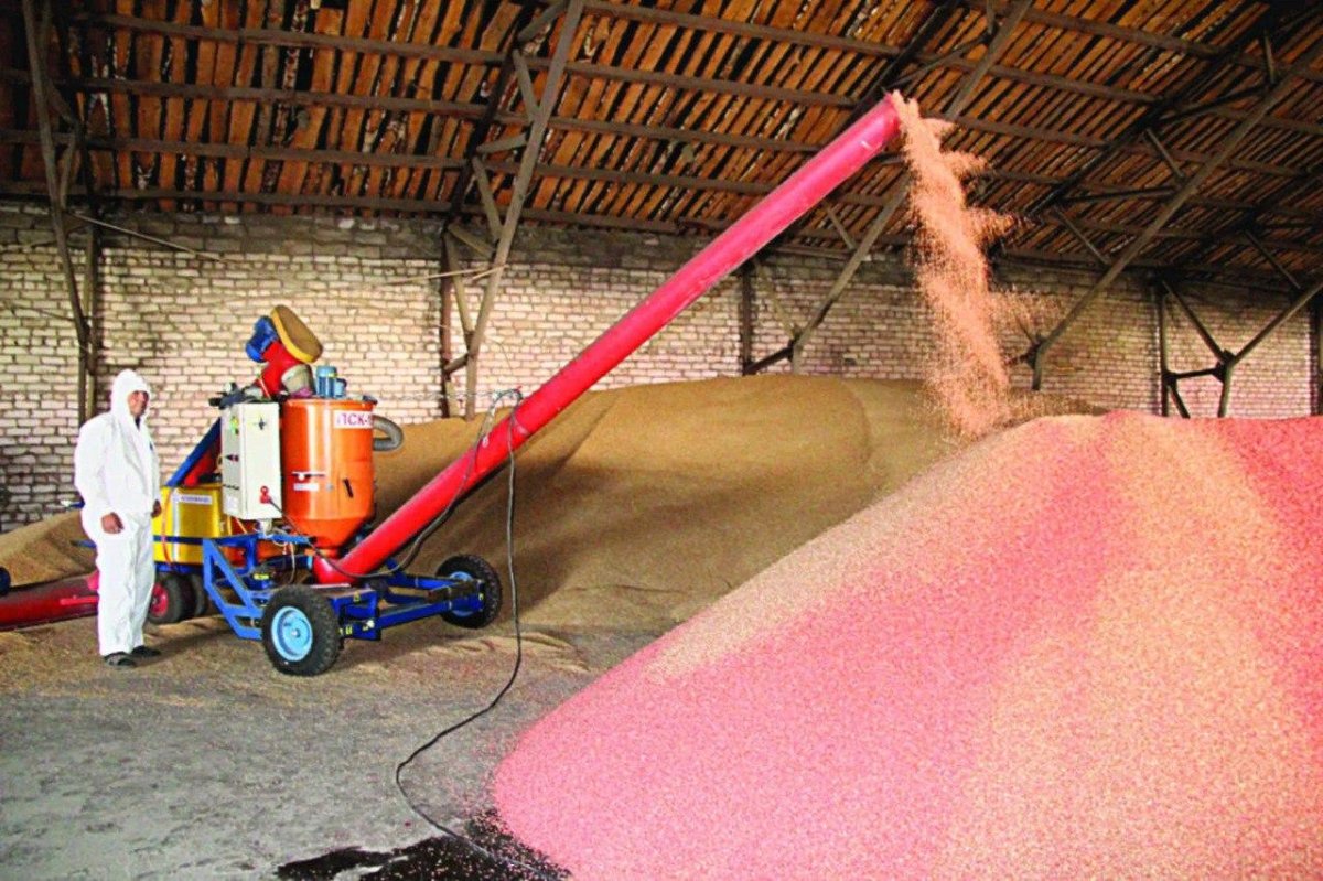 Протравитель семян пшеницы