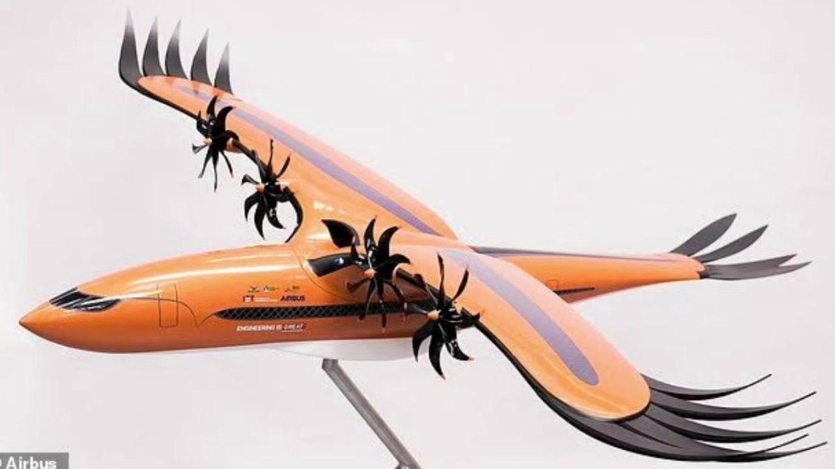 Airbus Bird of Prey самолет