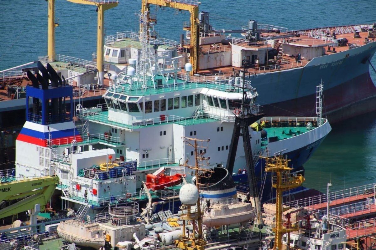 Всеволод Бобров судно