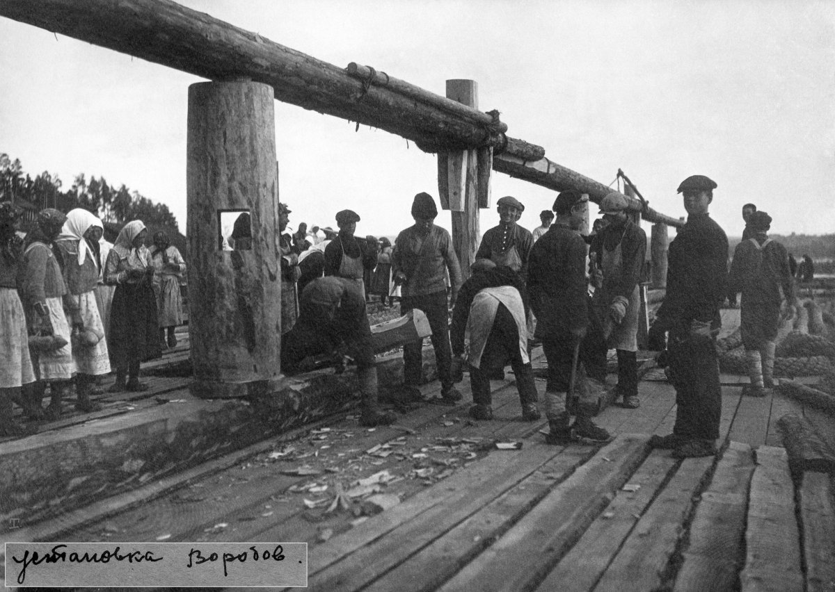 Барка Беляна