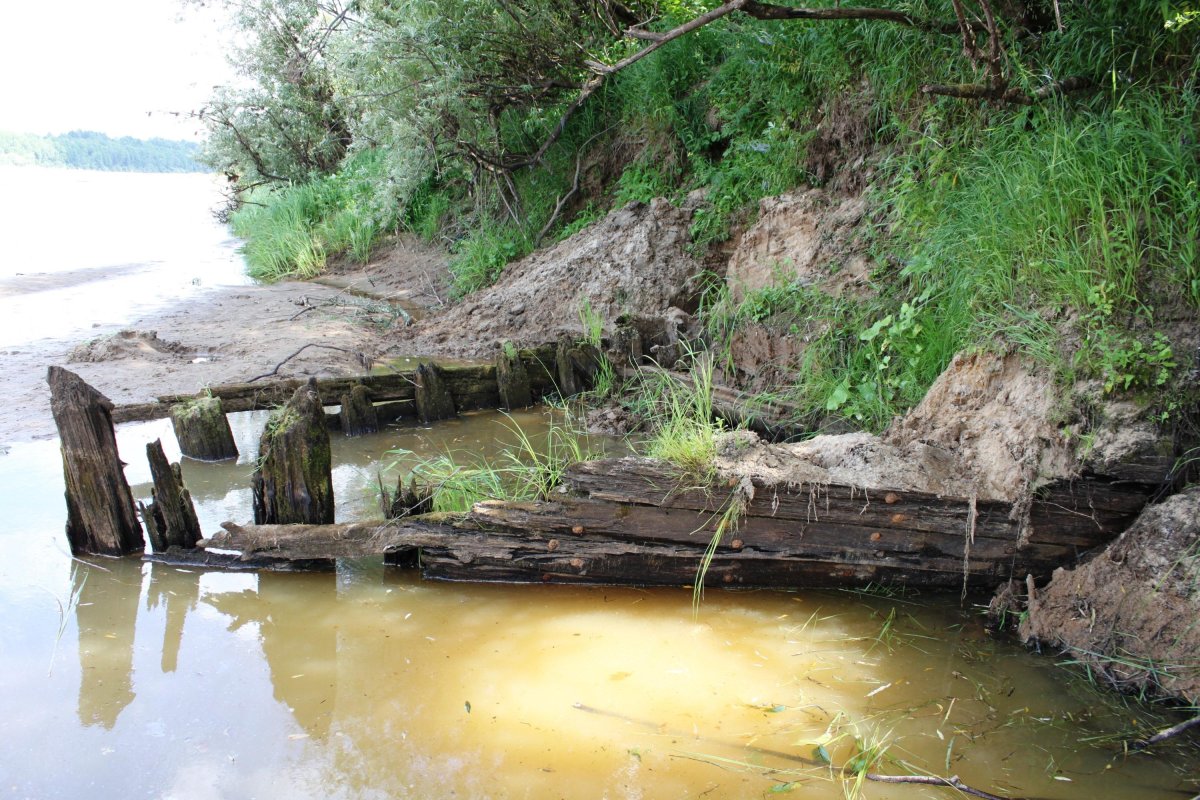Беляна на Ветлуге