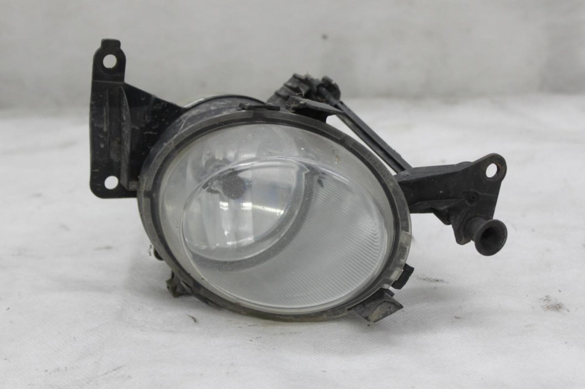 Фара Корса д 2008