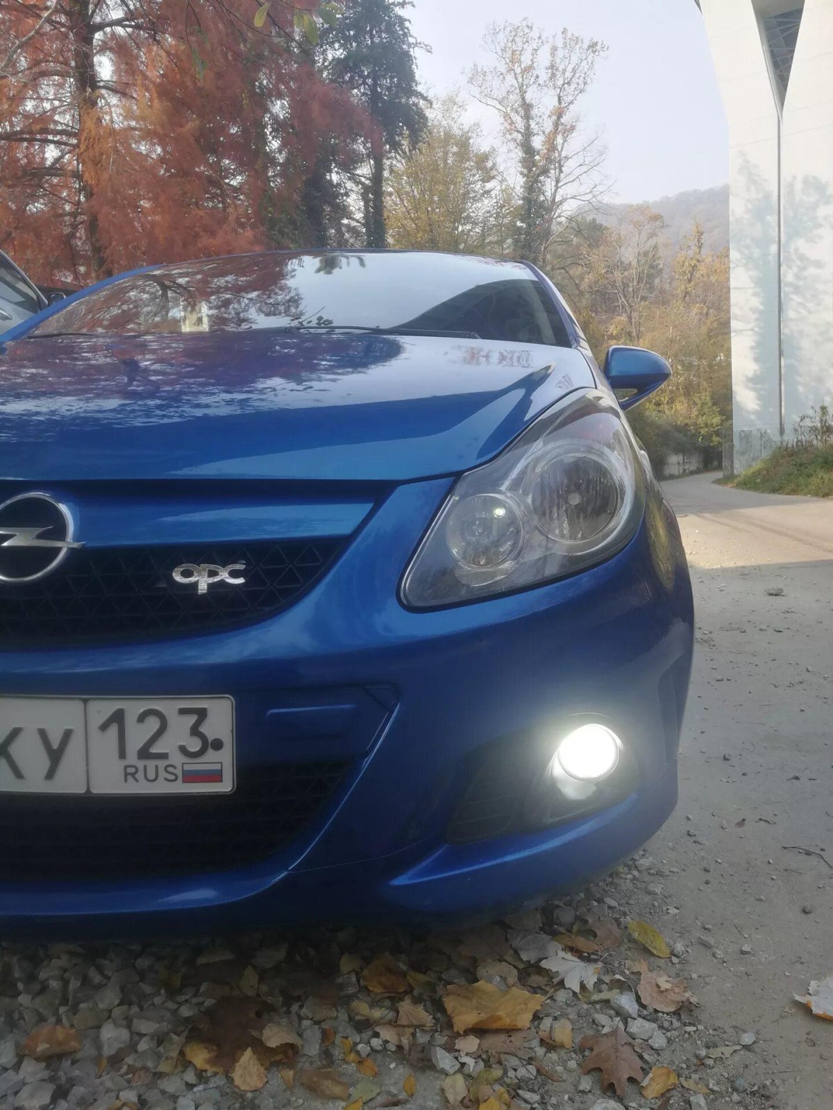 ПТФ Корса д 2008