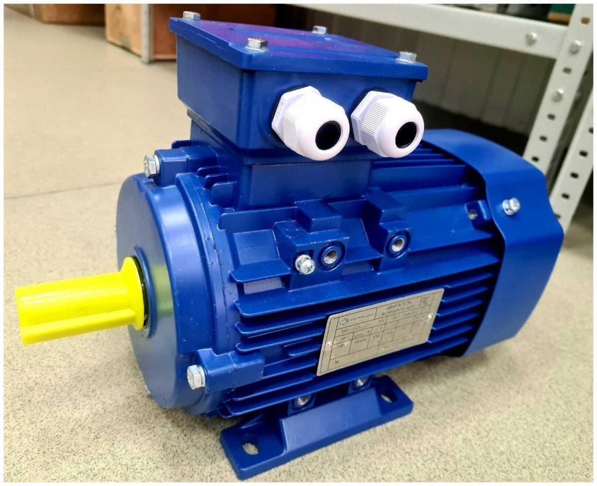 Исполнение 1081 на электродвигатели