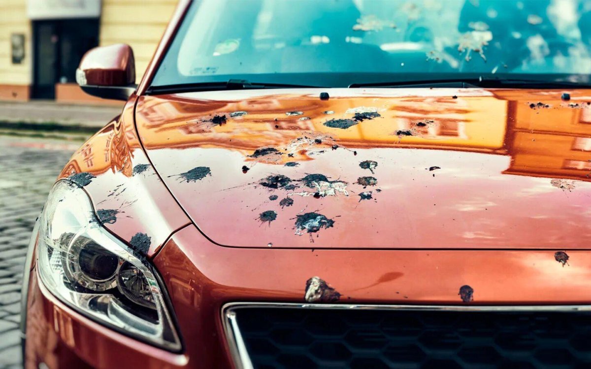 Птичий помет на авто