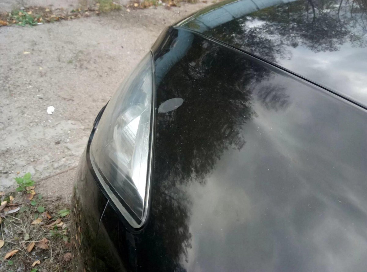 Птичий помет на ЛКП