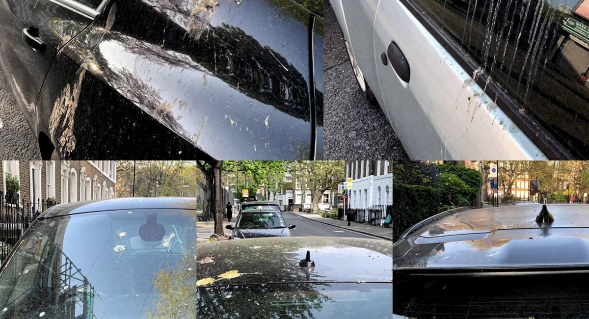 Птичий помет на автомобиле