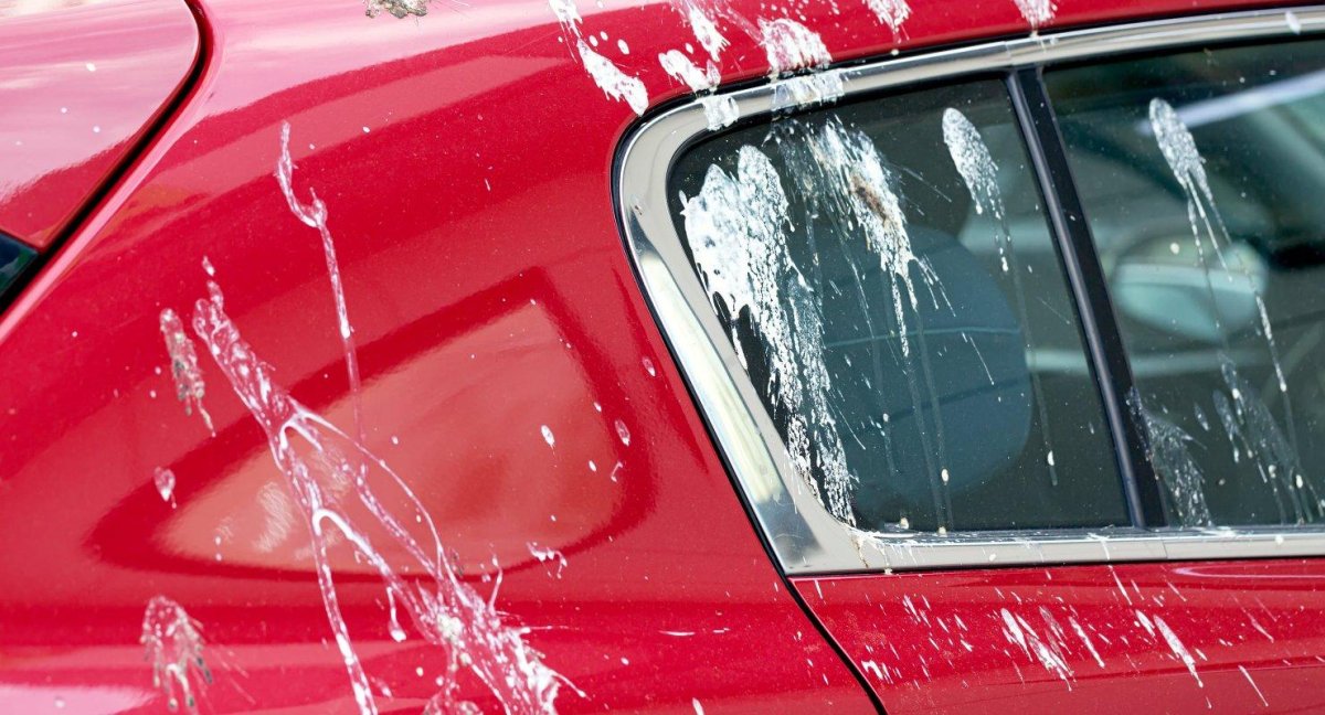 Птичий помет на кузове автомобиля