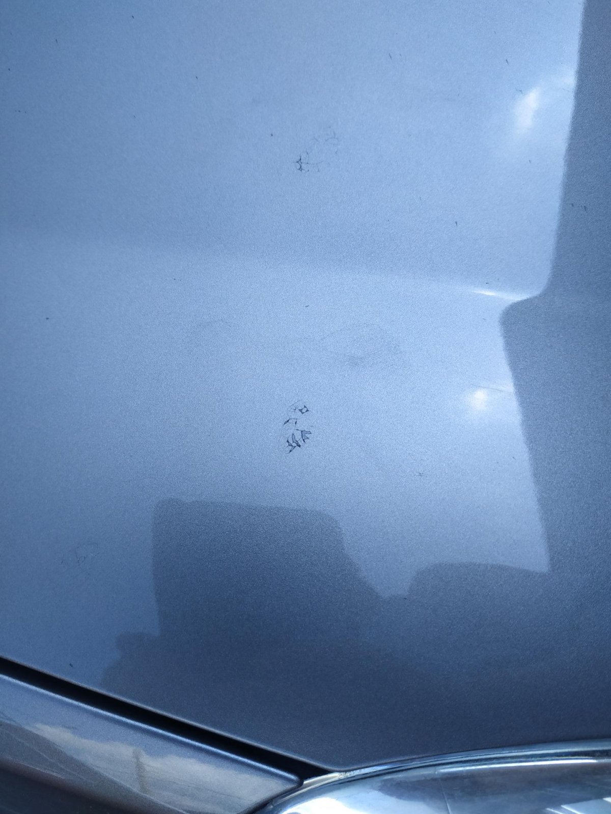 Птичий помет на ЛКП авто