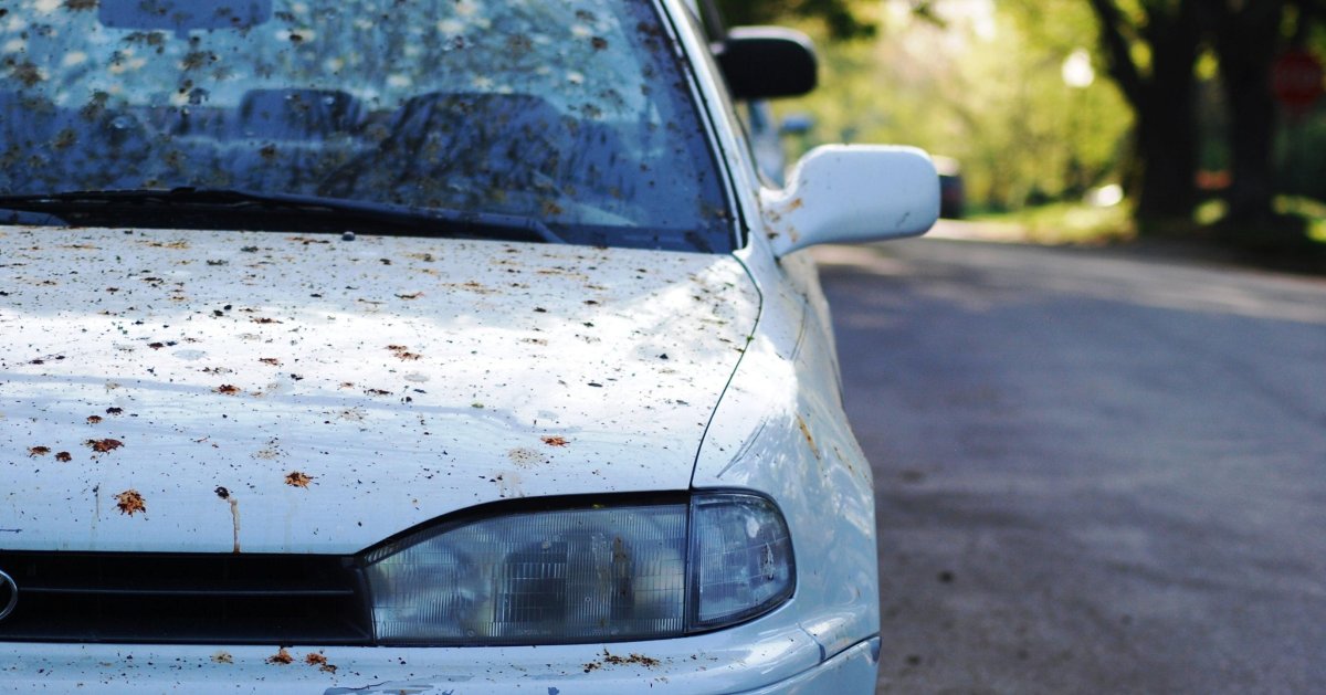 Машина в птичьем помете