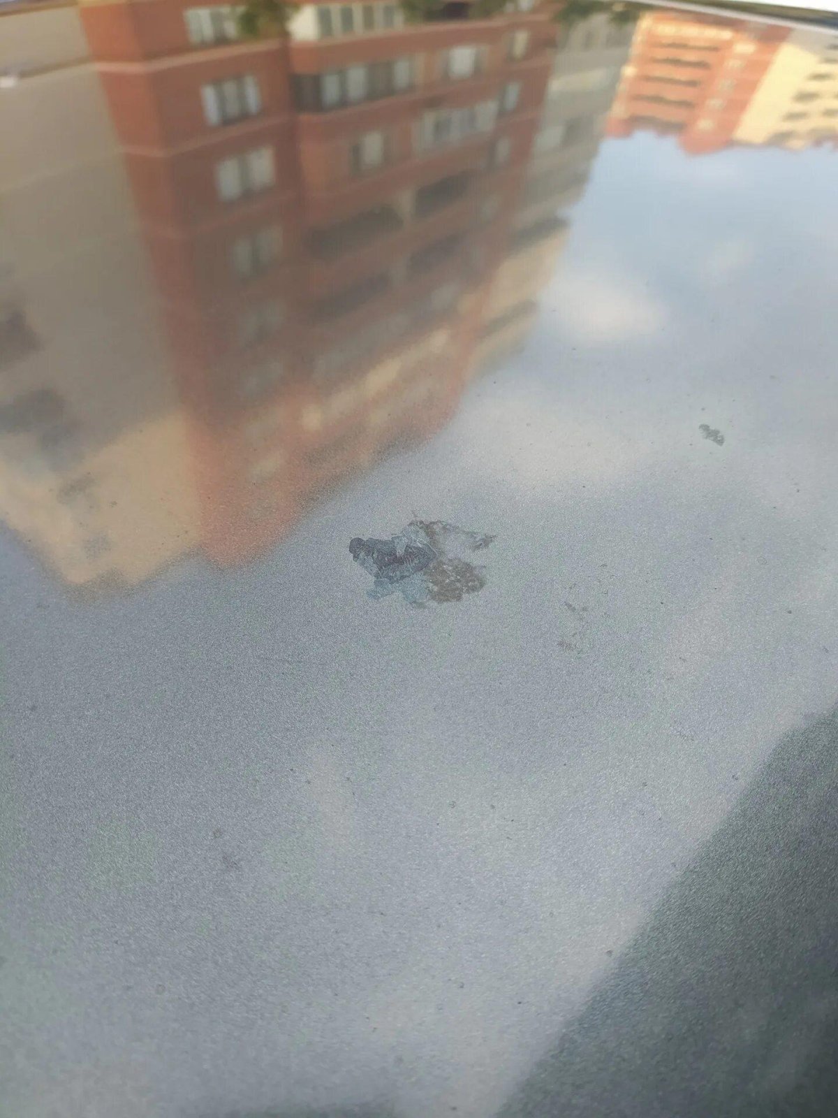 След от птичьего помета на ЛКП