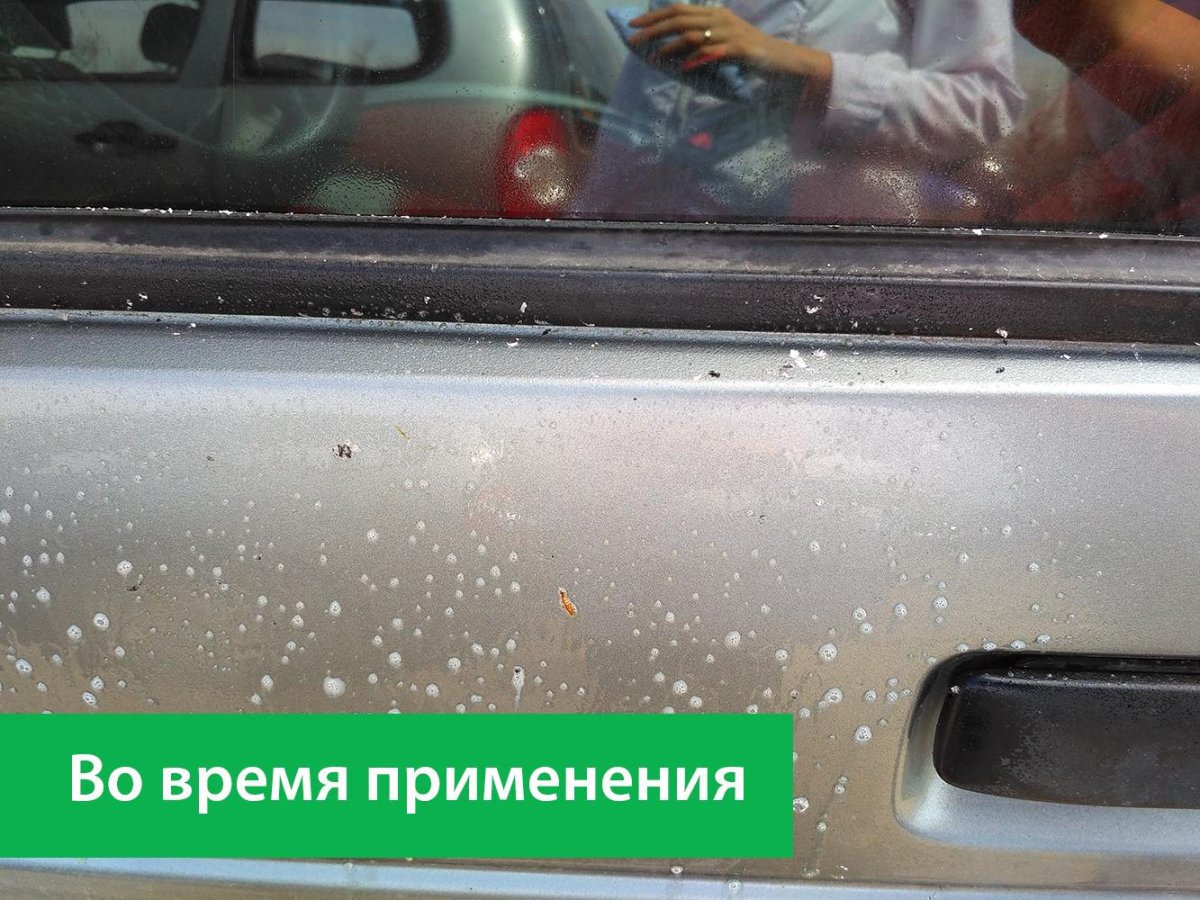 Очиститель тополиных почек и птичьего помета