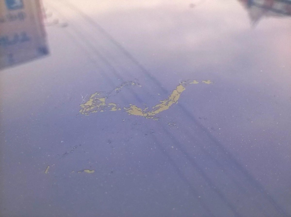 Голубиный помет на машине