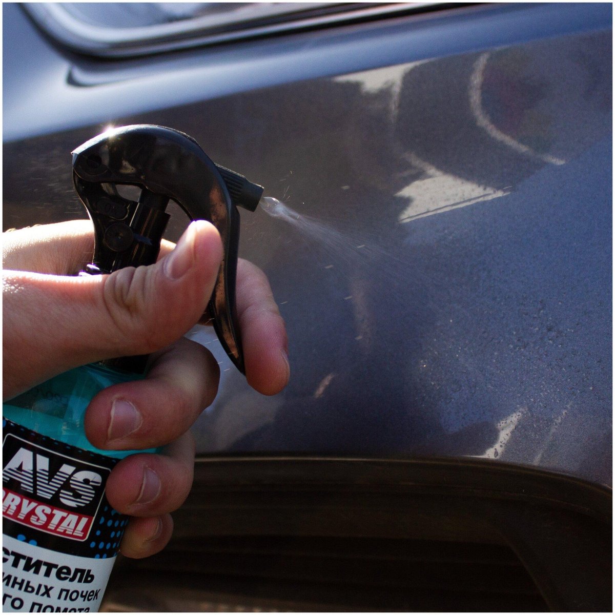 AVS очиститель от тополиных почек и птичьего помета