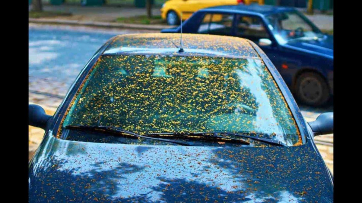 Грязное лобовое стекло