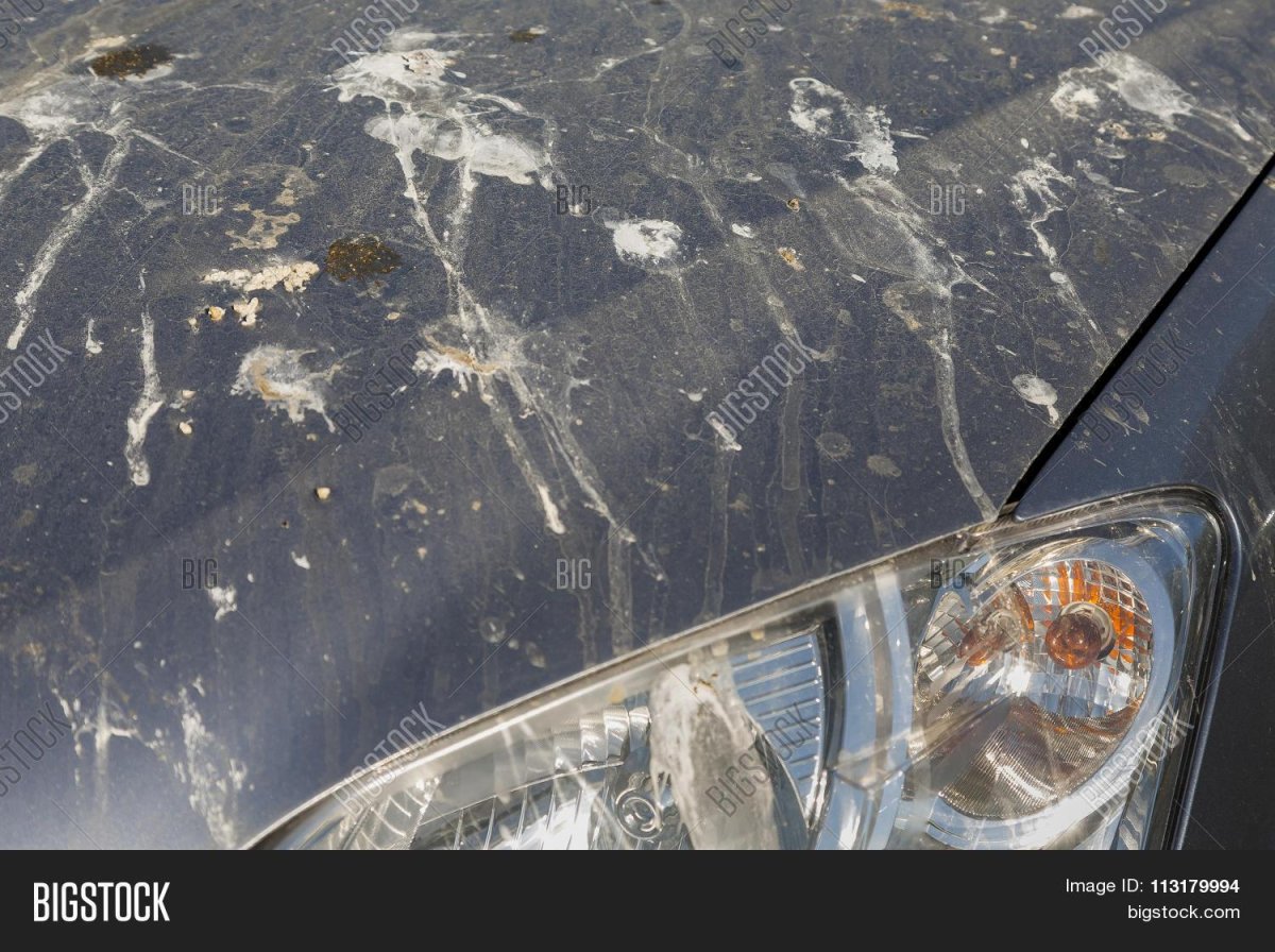 Грязная машина