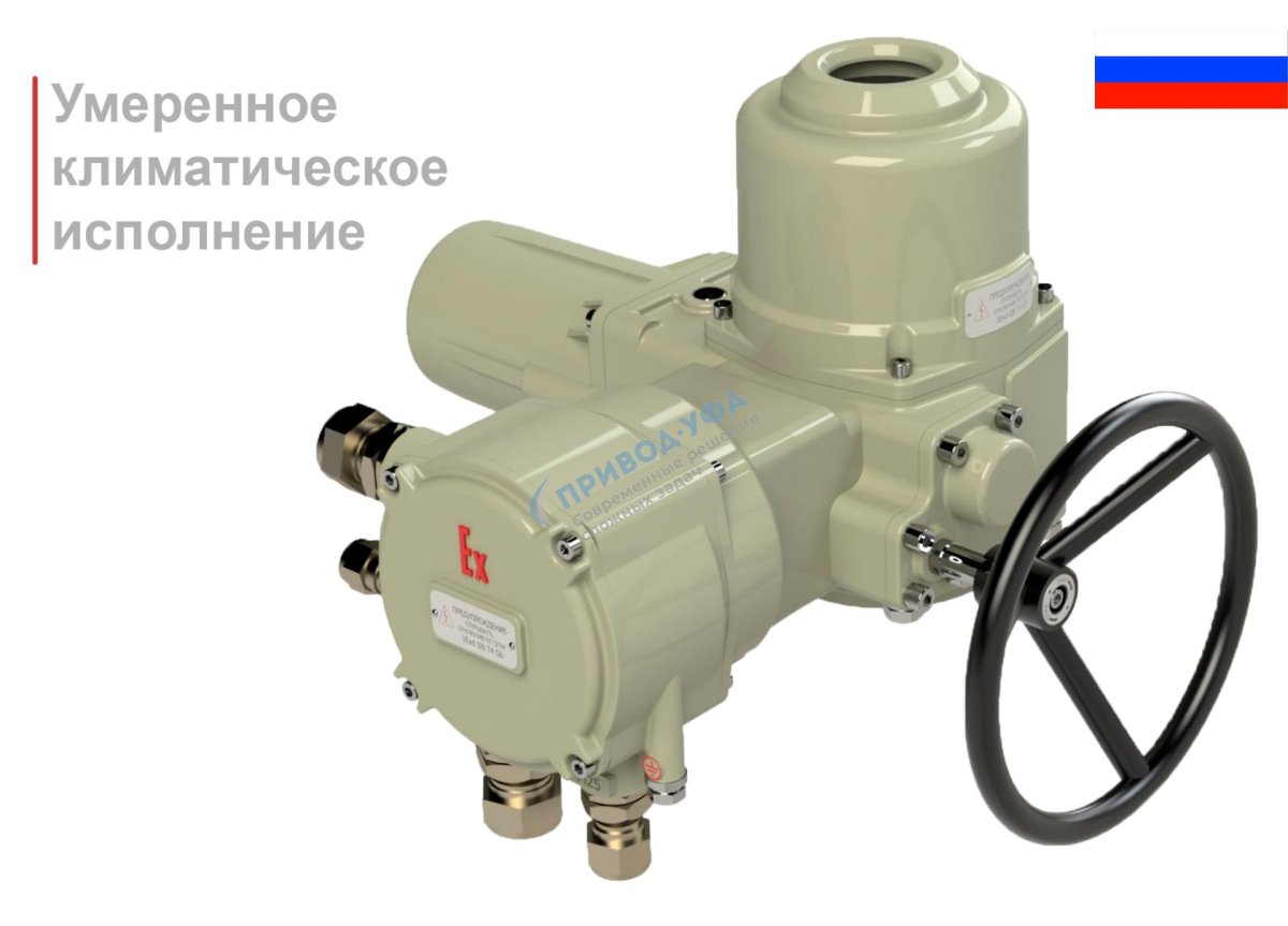 Электропривод ГЗ-оф-80/21к 220в