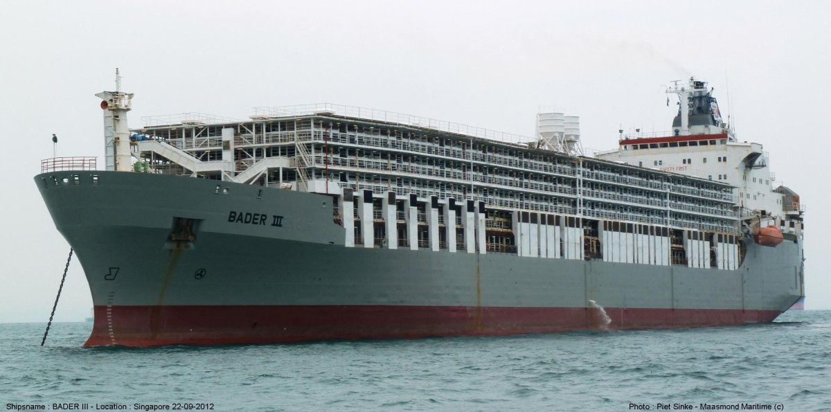 Судно для перевозки скота